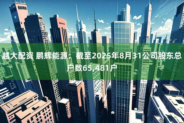 越大配资 鹏辉能源：截至2025年8月31公司股东总户数65,481户