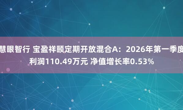 慧眼智行 宝盈祥颐定期开放混合A：2026年第一季度利润110.49万元 净值增长率0.53%