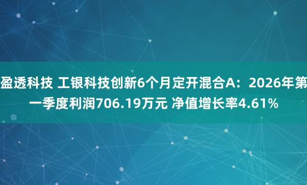 盈透科技 工银科技创新6个月定开混合A：2026年第一季度利润706.19万元 净值增长率4.61%