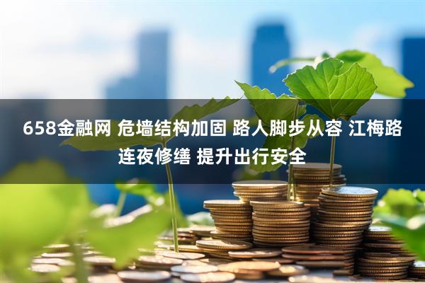 658金融网 危墙结构加固 路人脚步从容 江梅路连夜修缮 提升出行安全